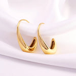 Load image into Gallery viewer, Lola Hoop Earrings